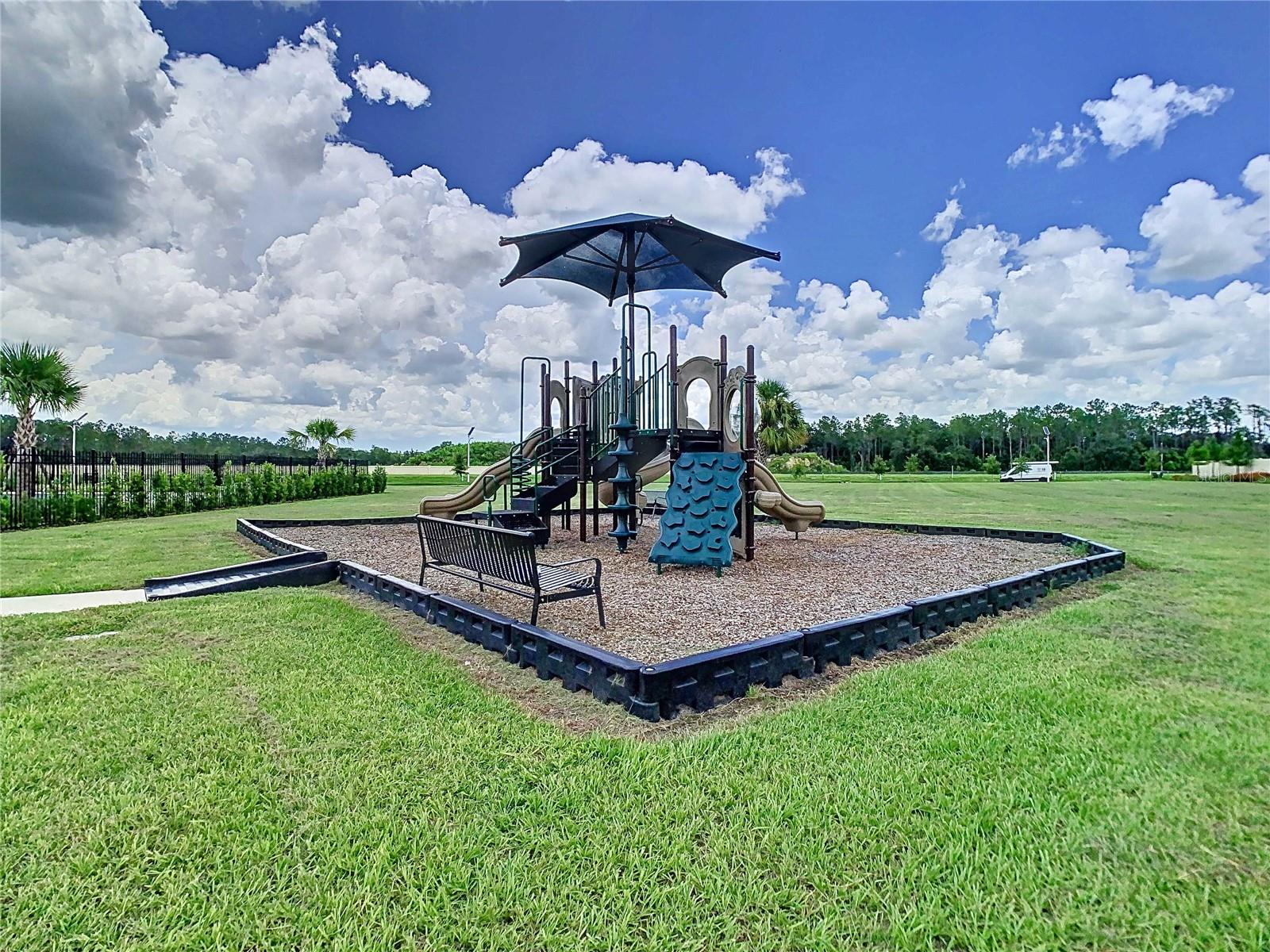 34056 SCARLET SAGE CT