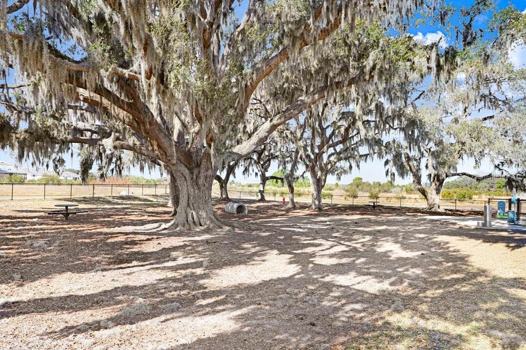 10385 ECHO DOCK LOOP