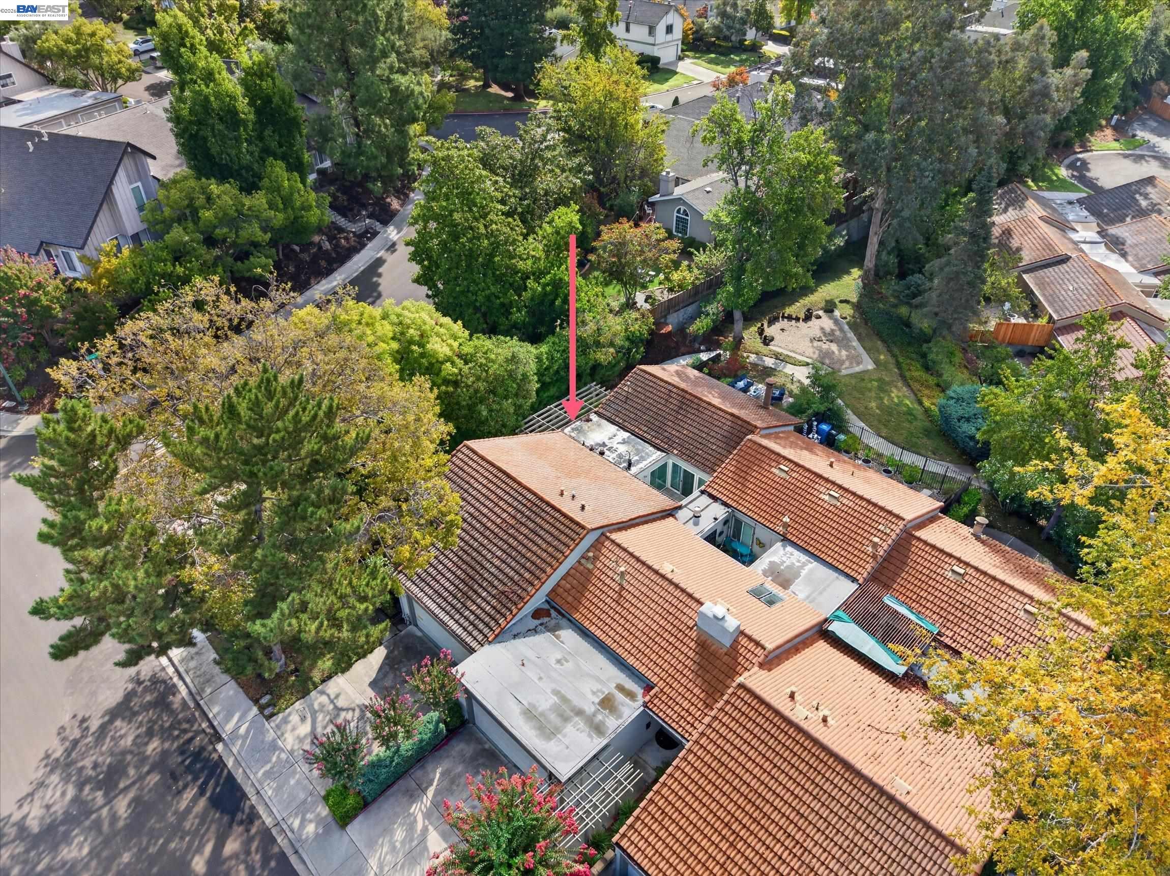 Aerial view of a tile-roofed home surrounded by trees, with a pink arrow marking the property.