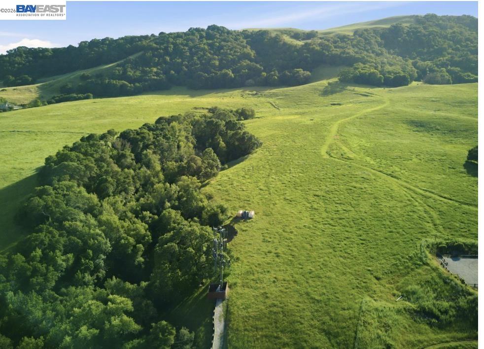 Aerial view of rolling green pasture bordered by dense woods and distant tree-covered hills.