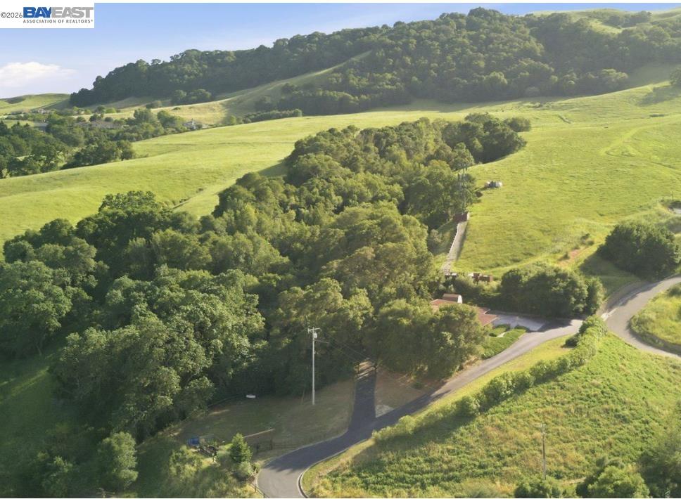 Aerial view of rolling green acreage with wooded hills, a winding driveway, and road.