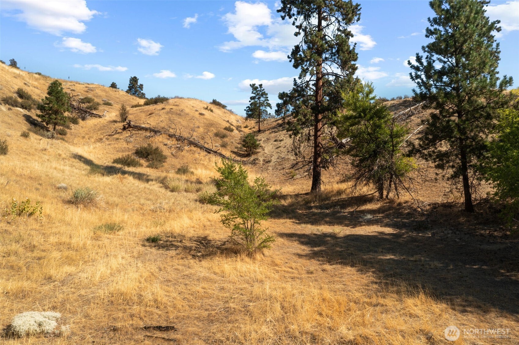 5177 Woodring Canyon Road