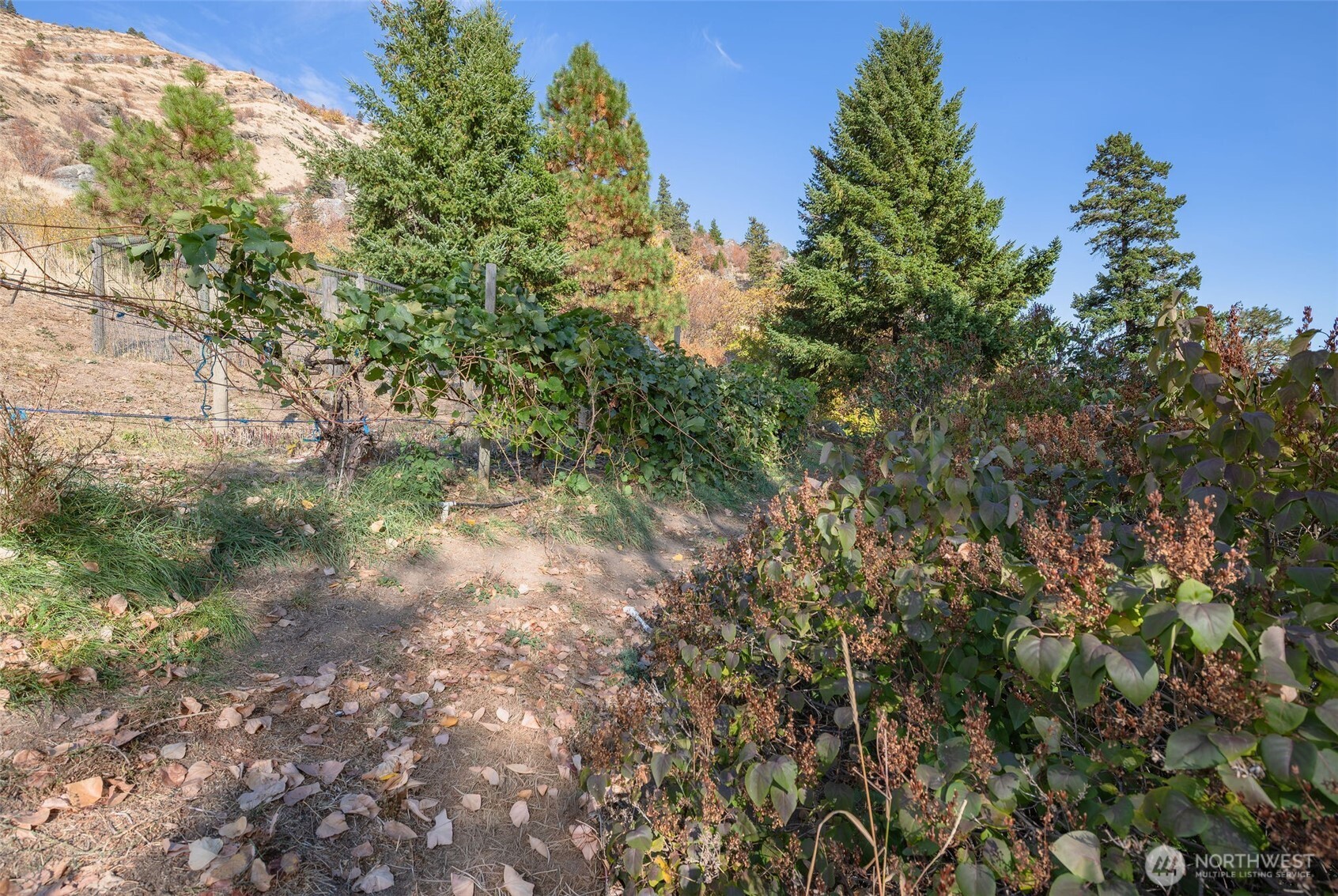7270 Brender Canyon Road