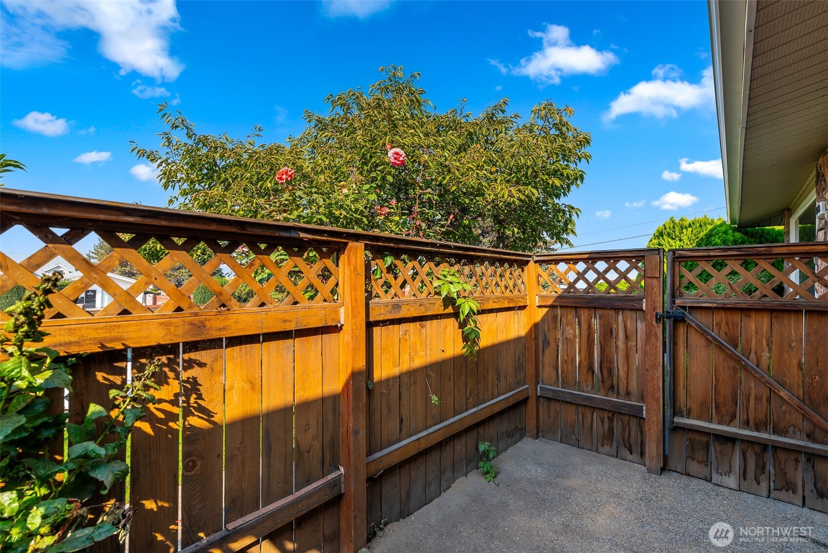 100 Simon Street Unit: 29