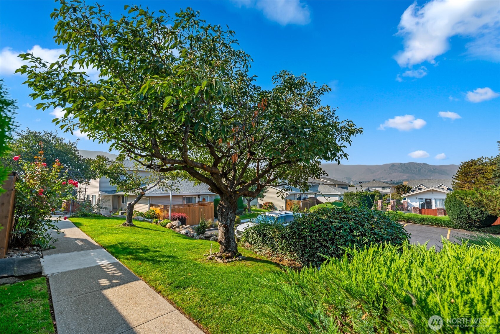 100 Simon Street Unit: 29