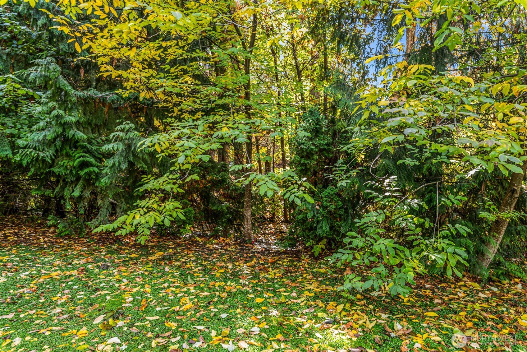 1357 Mission Creek Road
