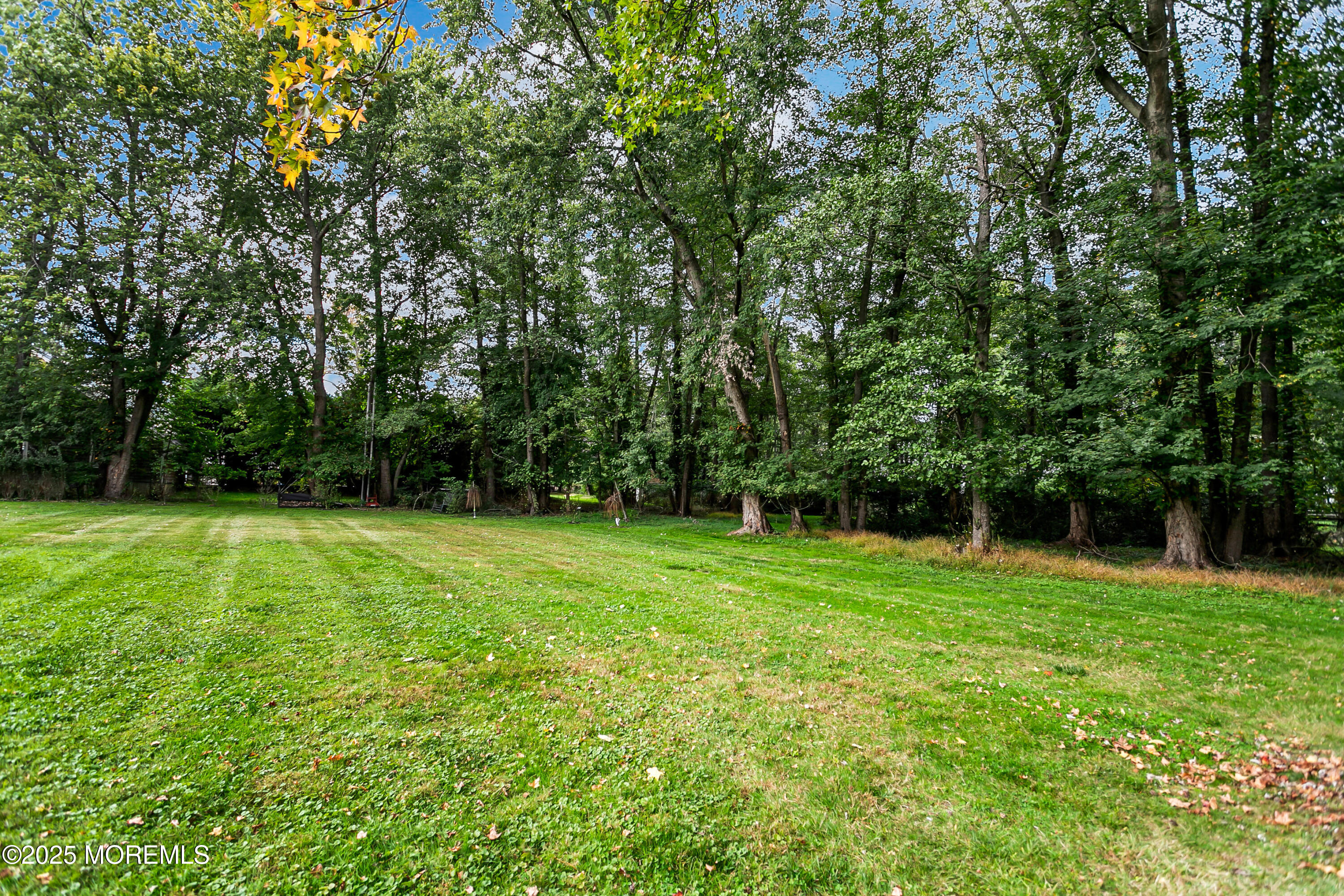 71 Bellevue Avenue