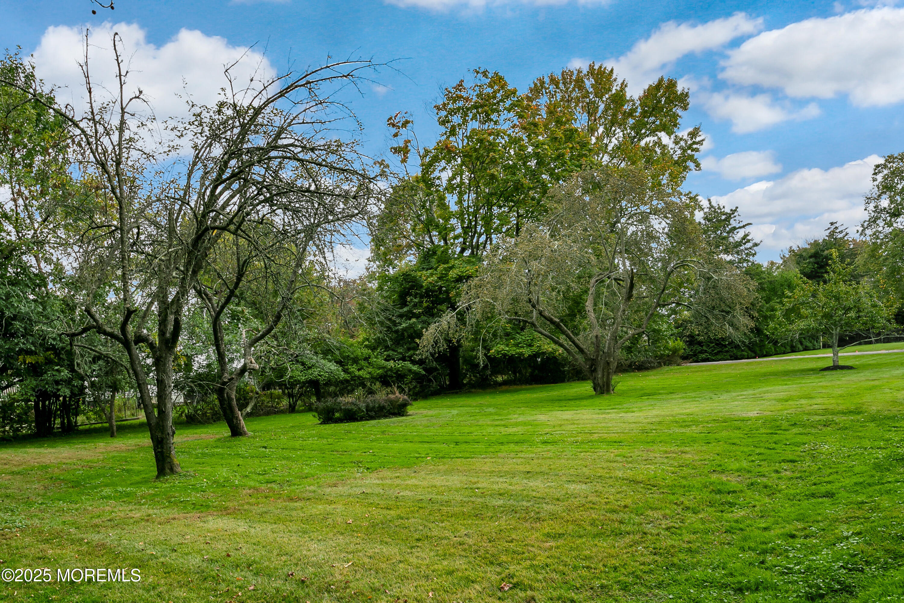 71 Bellevue Avenue