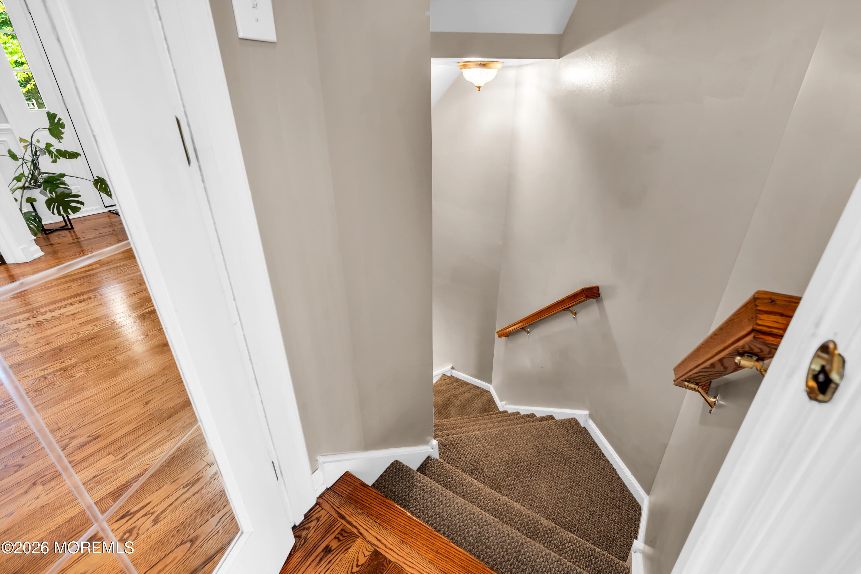 8 Steeplechase Lane