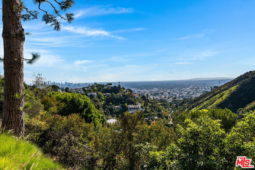 2431 Carman Crest Dr