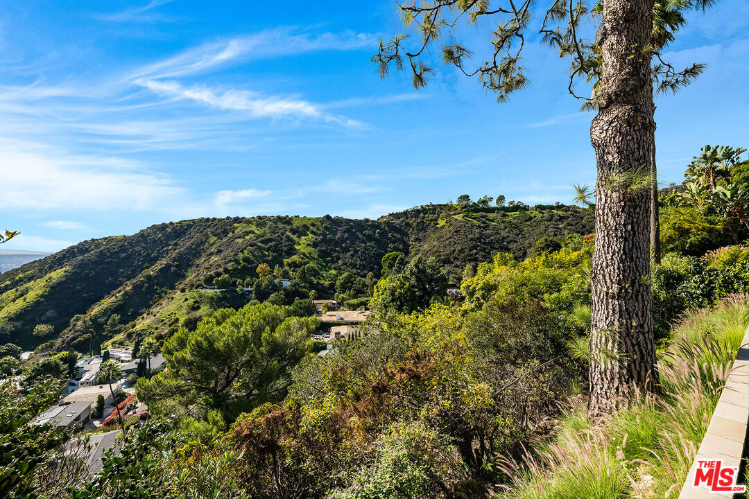 2431 Carman Crest Dr