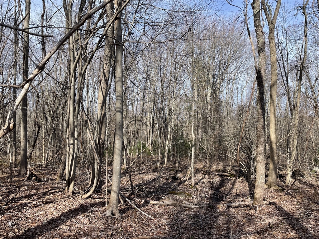 50 Fiskdale Road