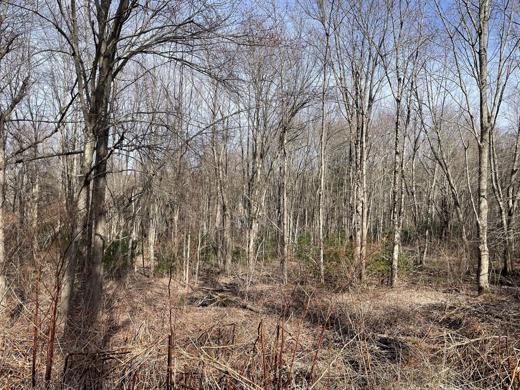 50 Fiskdale Road