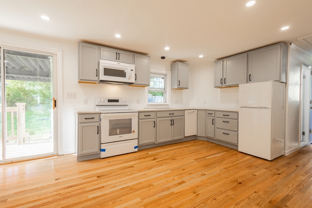 51 Greendale Ave