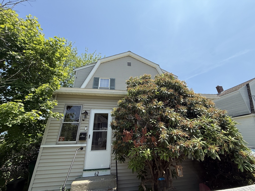 62 Marion St