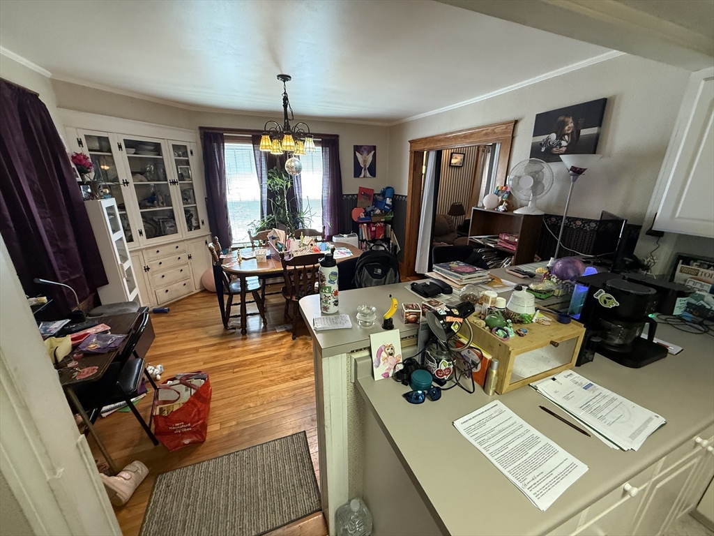 62 Marion St
