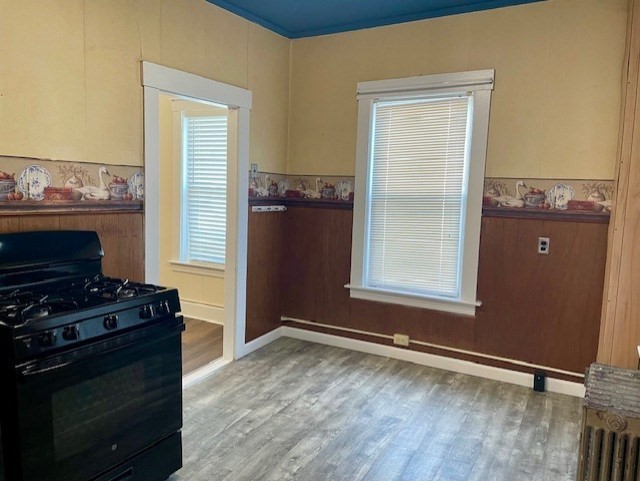 117 Laurel St # 2