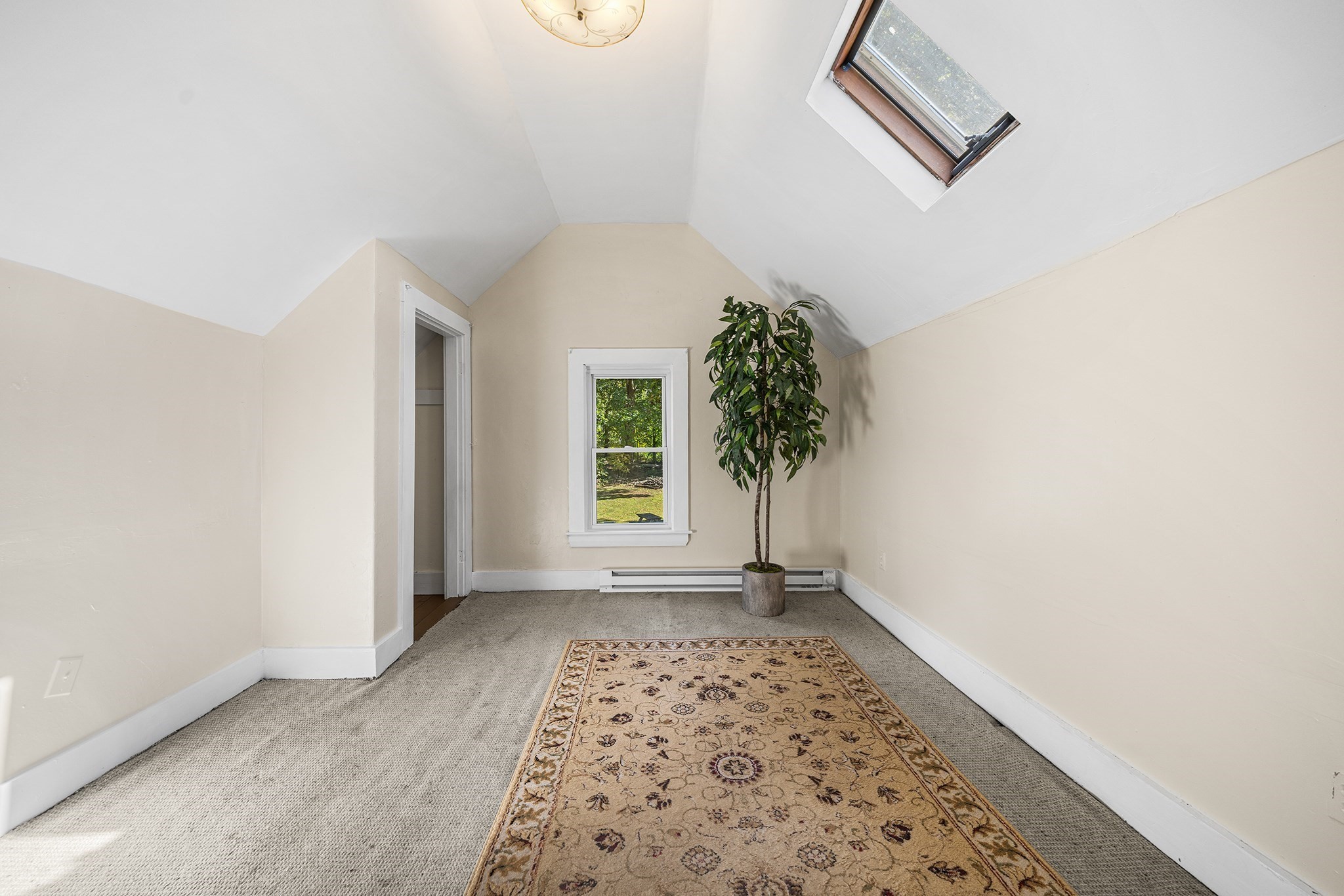 Carpeted room with a sloped ceiling, skylight, small window, potted plant, and patterned rug.