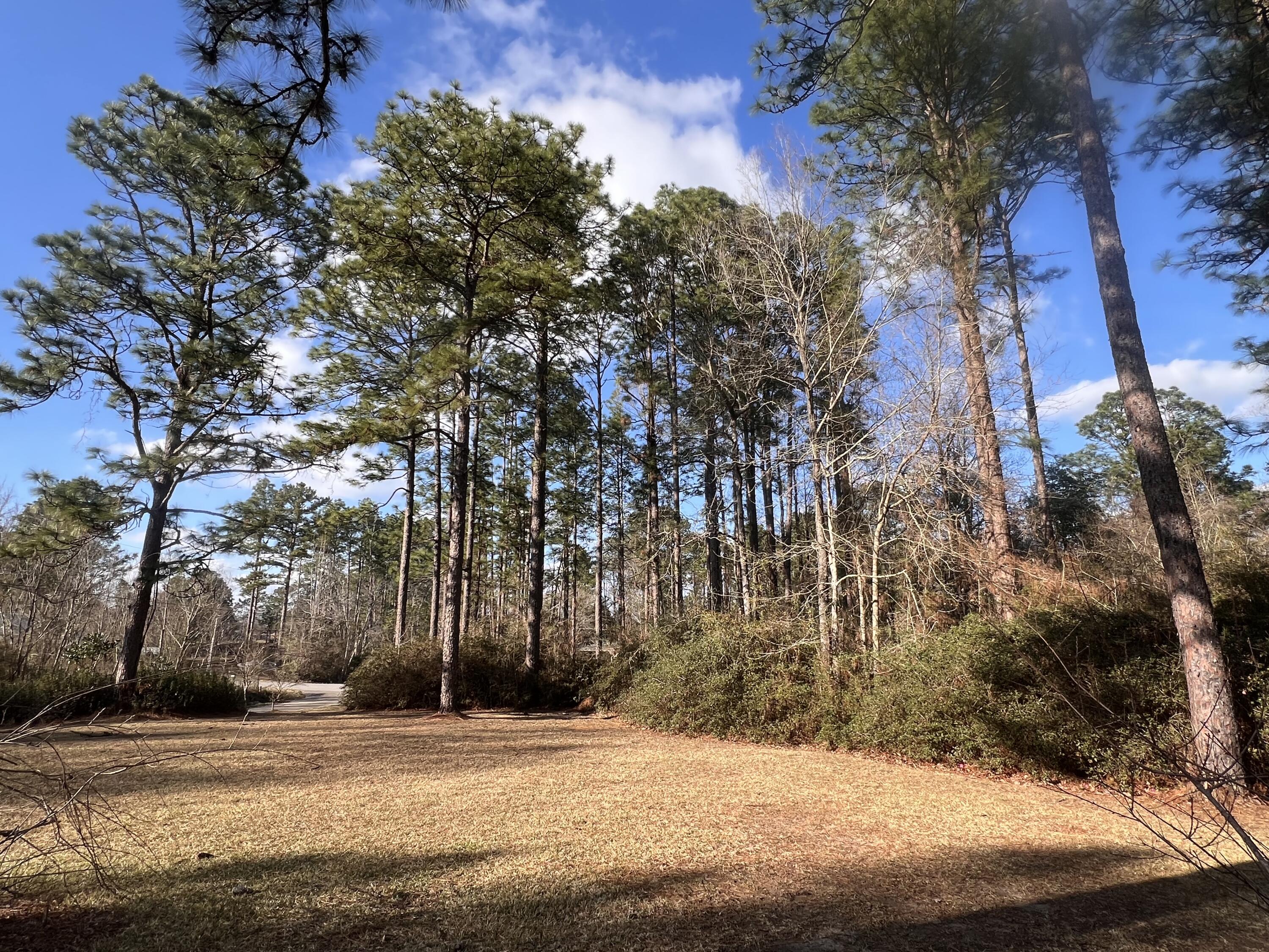 400 Maple Dr.
