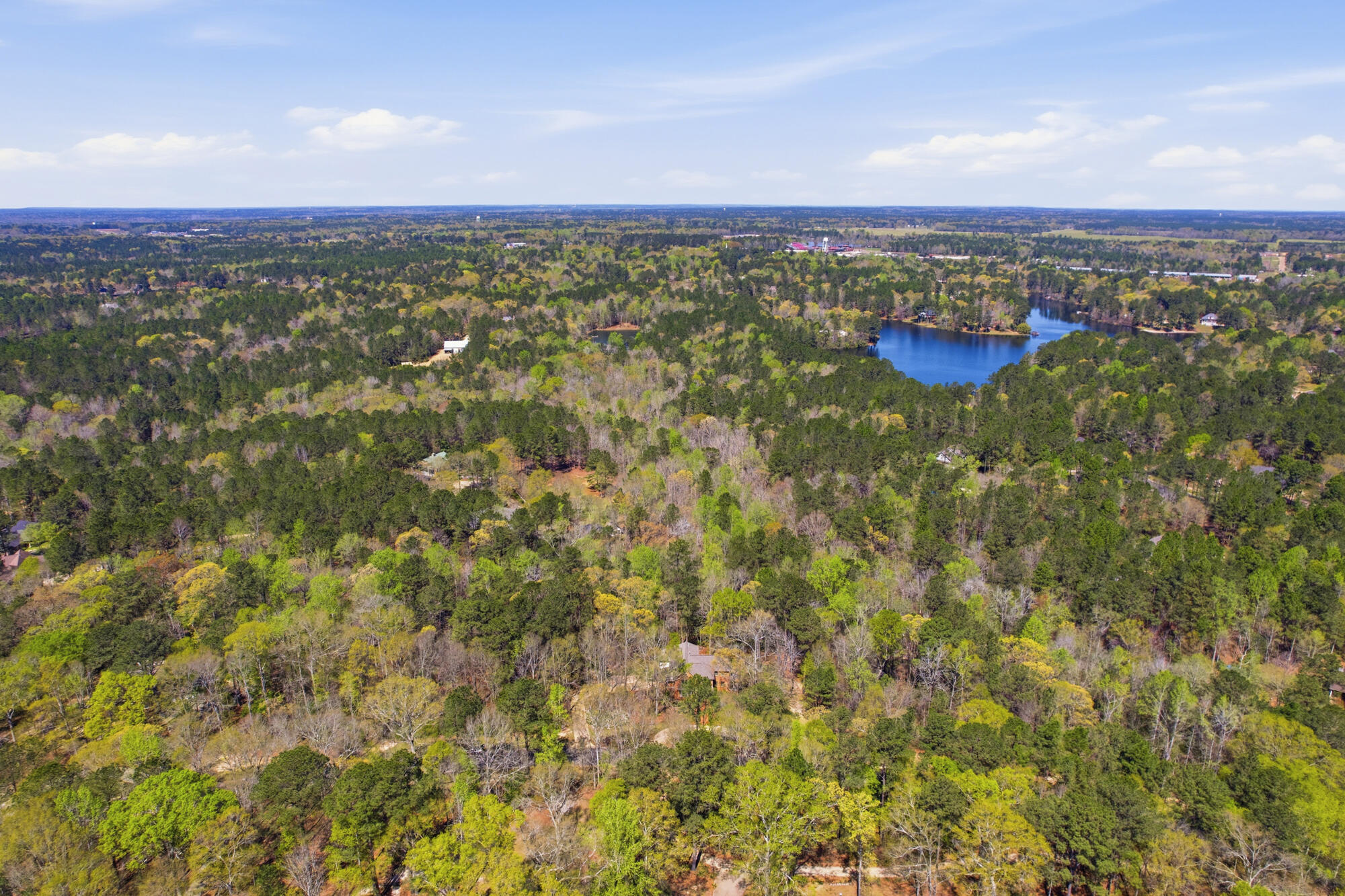 Aerial view of wooded land, scattered homes, and a blue lake in the distance.