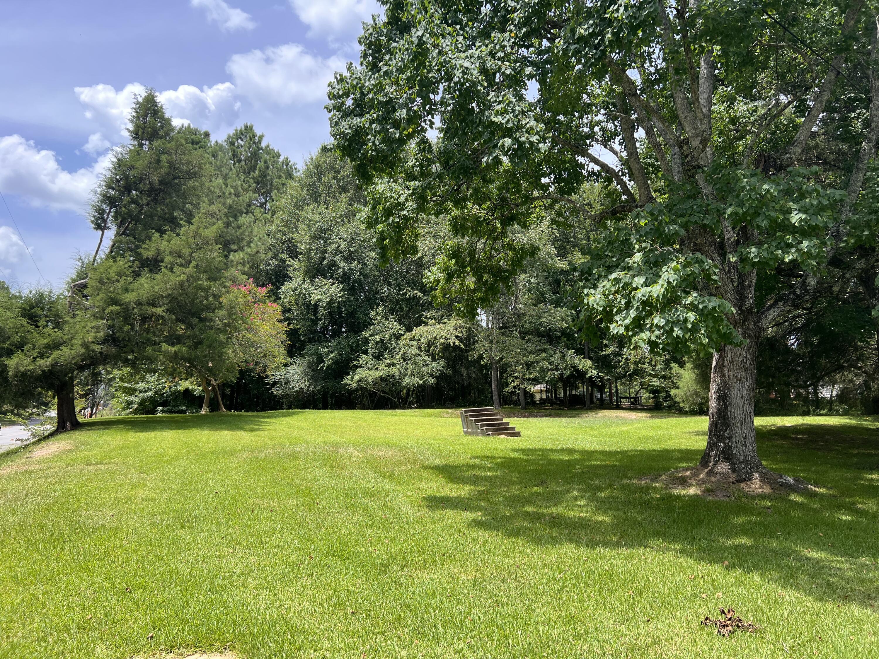 Shaded lawn with mature trees and steps leading toward a partially obscured house.