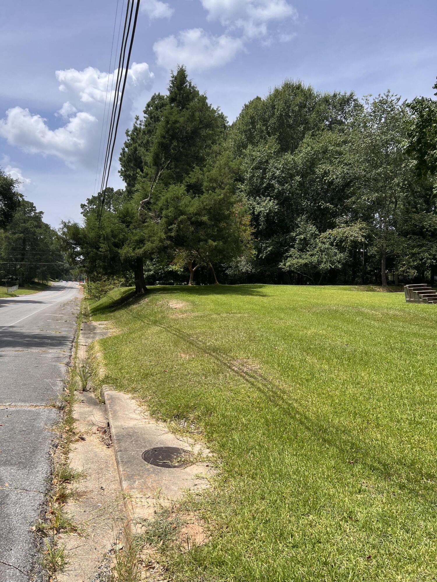 Grassy lot beside a paved road, with mature trees and a sidewalk.