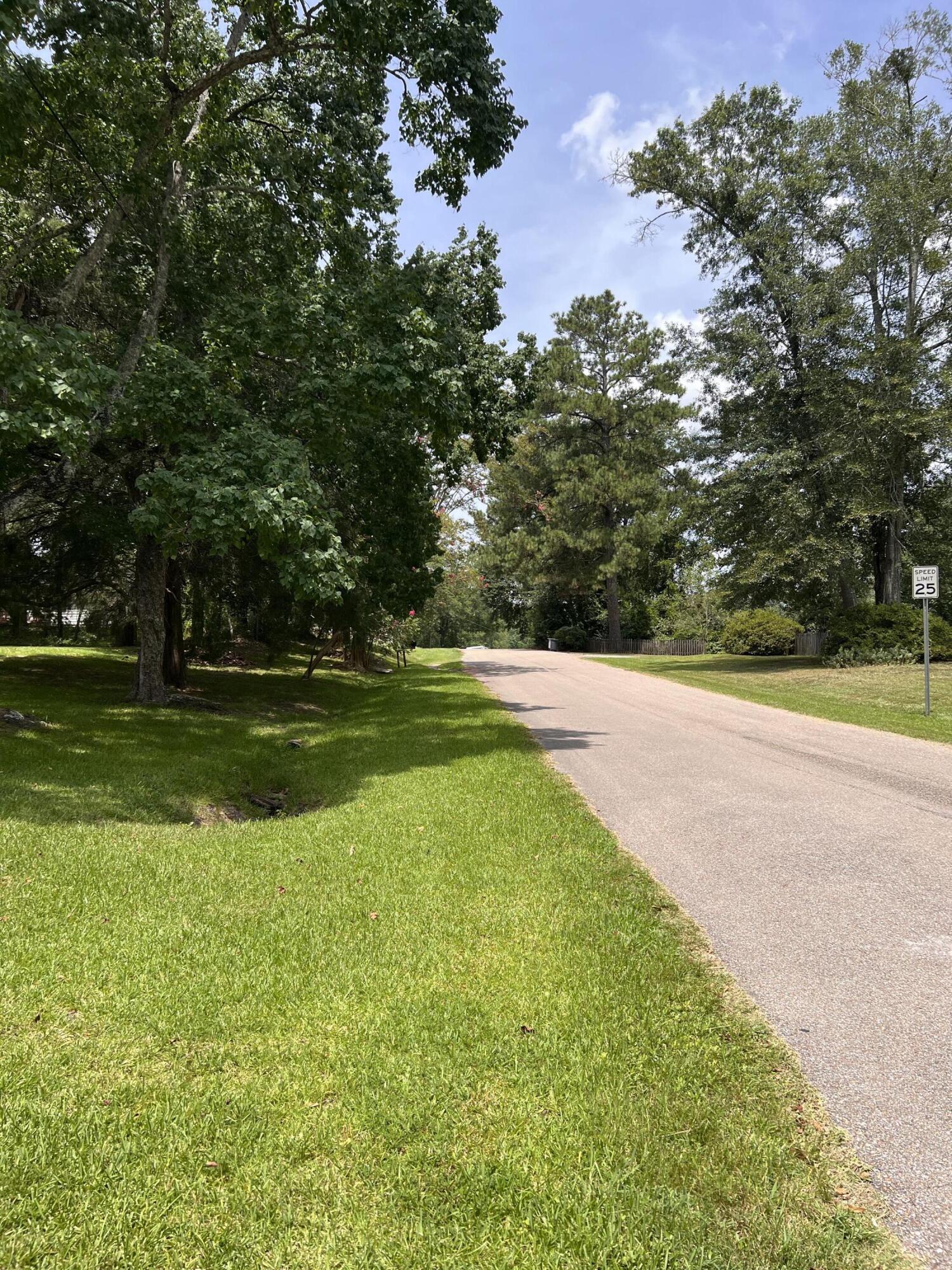Tree-lined residential street with grassy verges and a 25 mph speed limit sign.