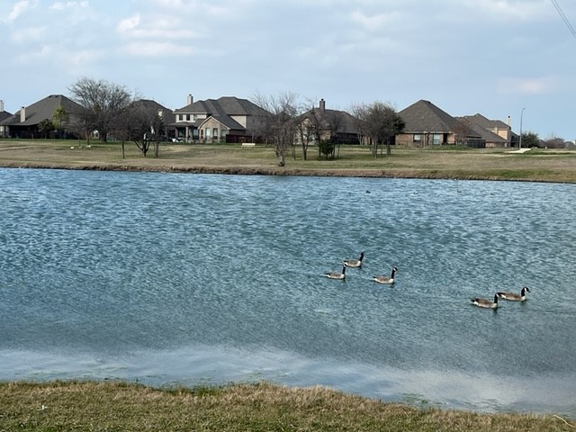 15005 Seventeen Lakes Boulevard