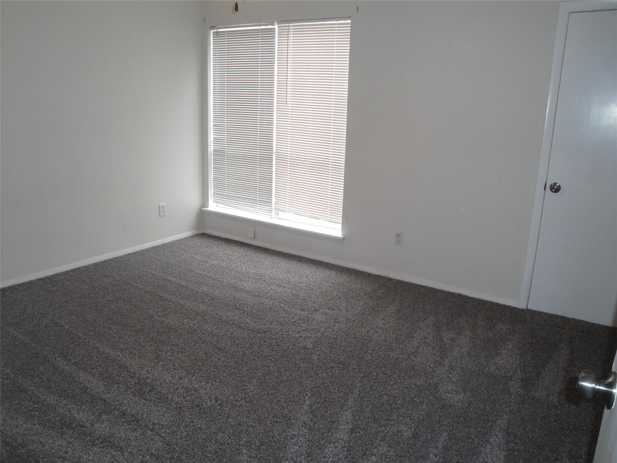 3045 Park Lane 1084
