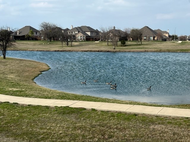 15036 Seventeen Lakes Boulevard