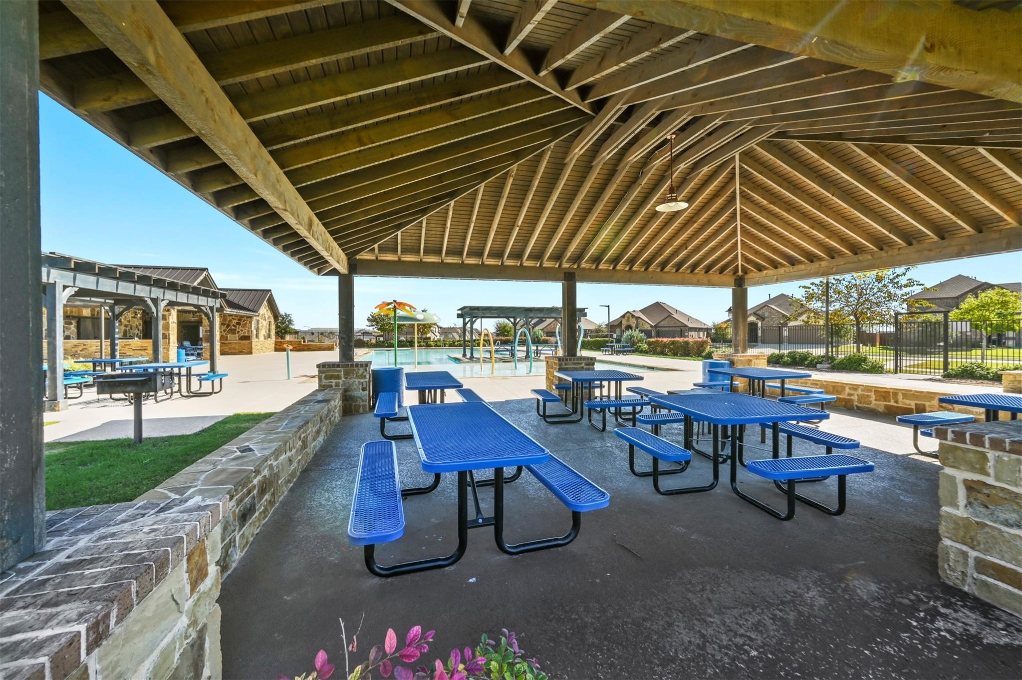 9204 Lace Cactus Drive