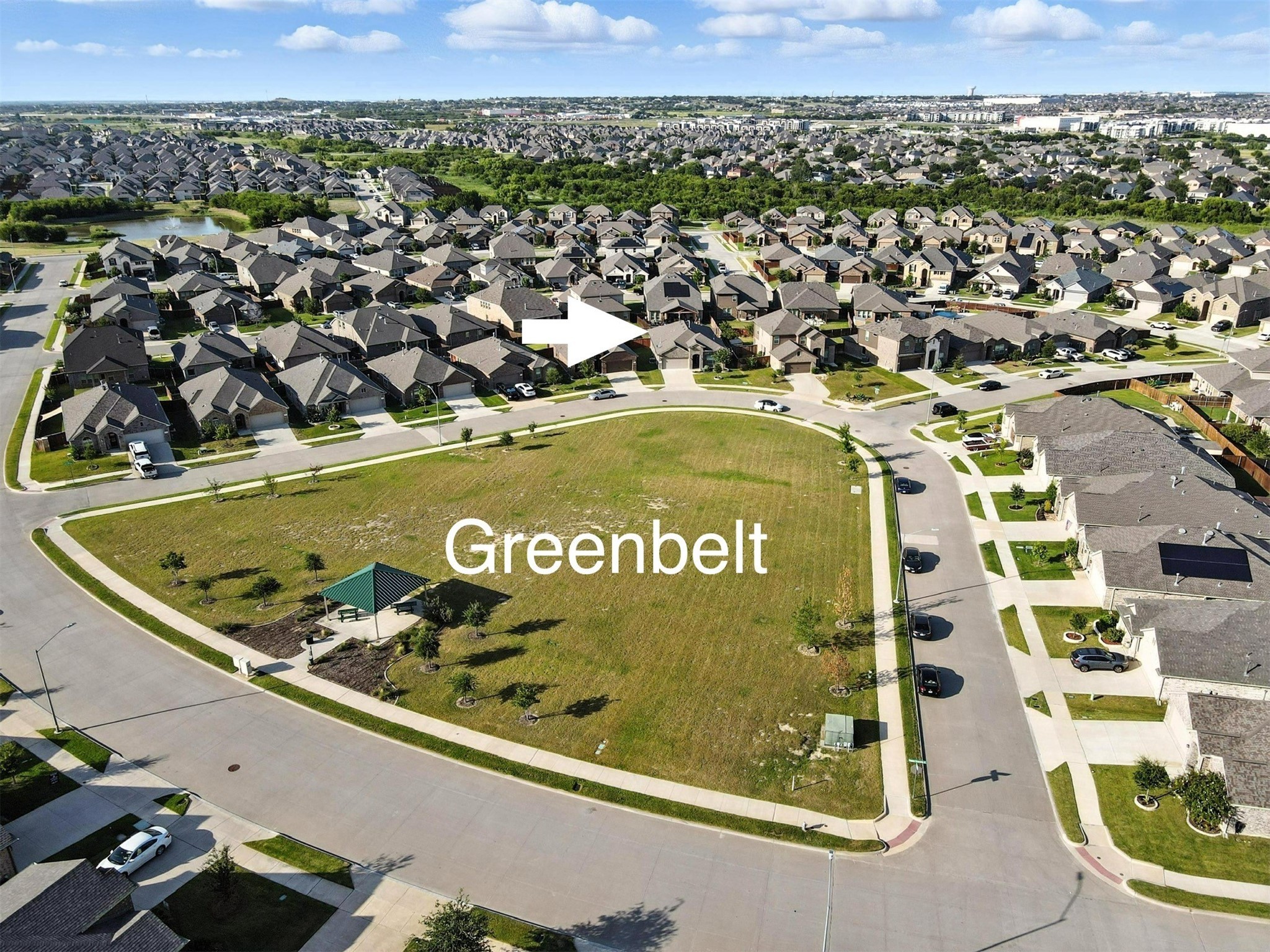 9204 Lace Cactus Drive