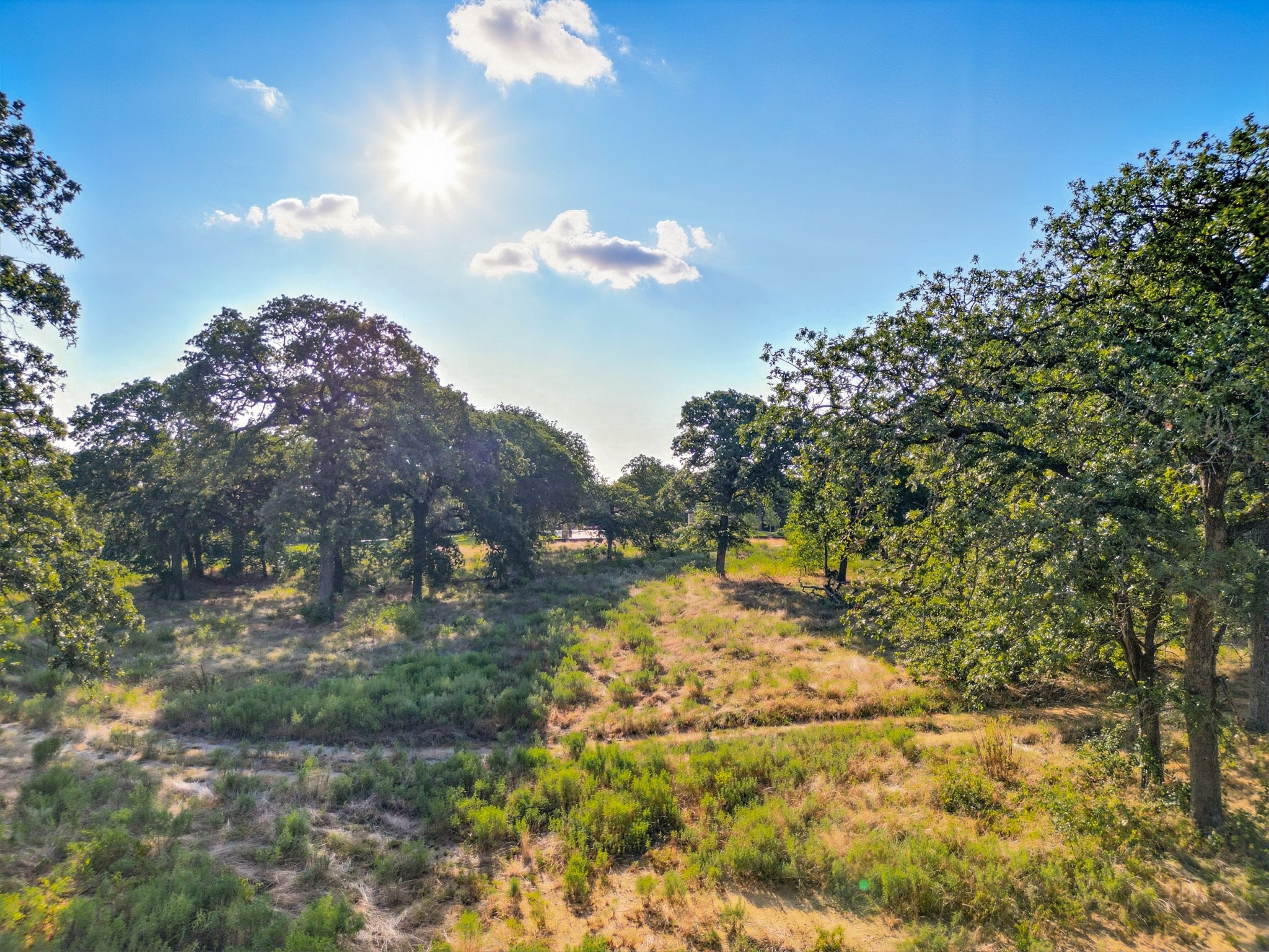 1908 Serendipity Circle