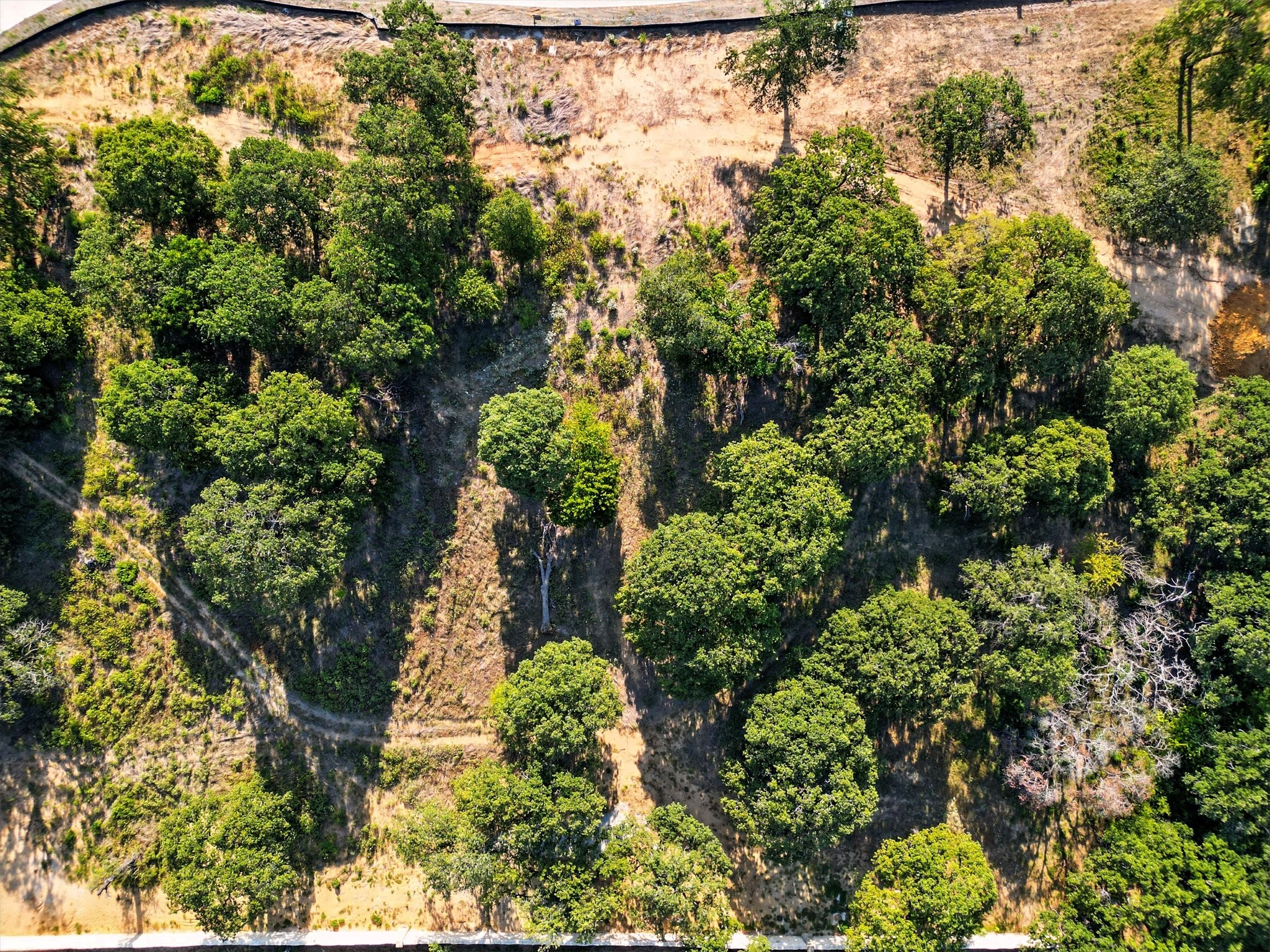 1908 Serendipity Circle