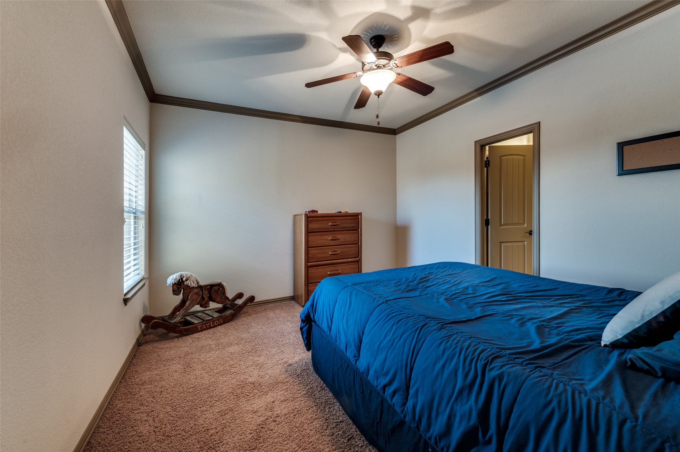 1157 Falcon Ridge Drive