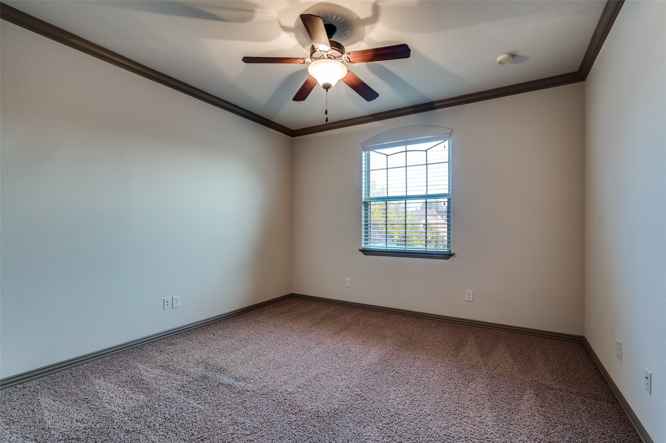 1157 Falcon Ridge Drive