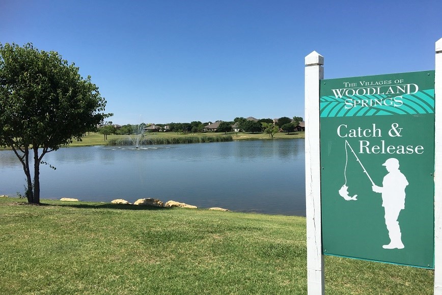 11645 Wild Pear Lane