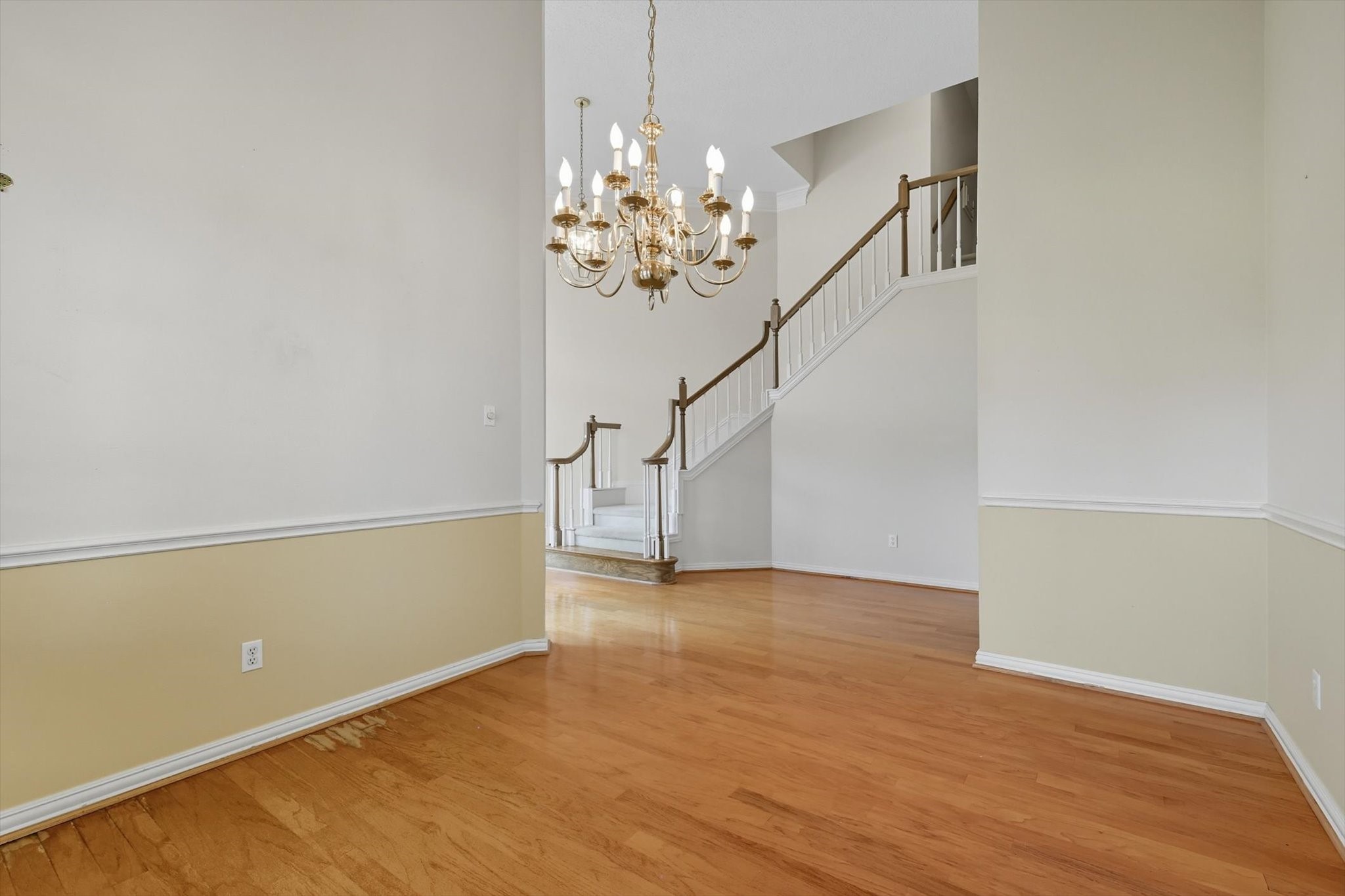 3904 Elmwood Court
