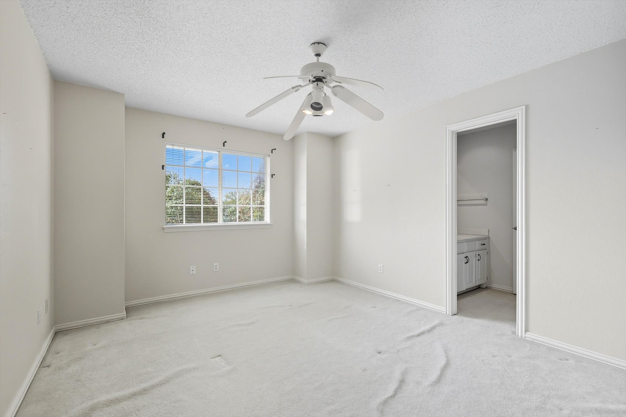 3904 Elmwood Court