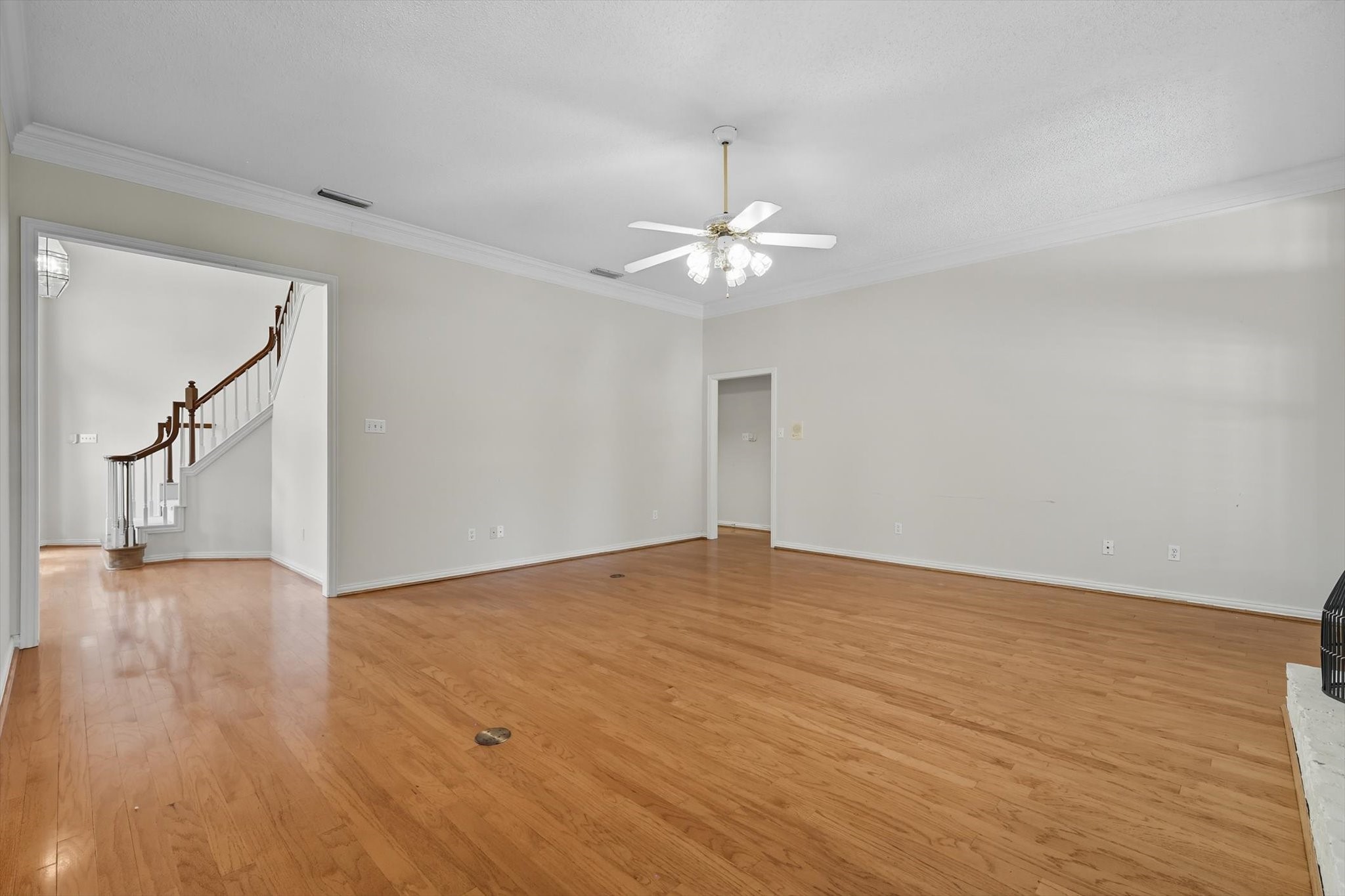 3904 Elmwood Court