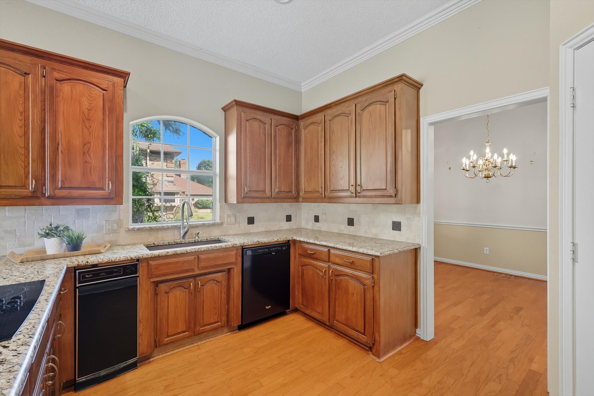 3904 Elmwood Court