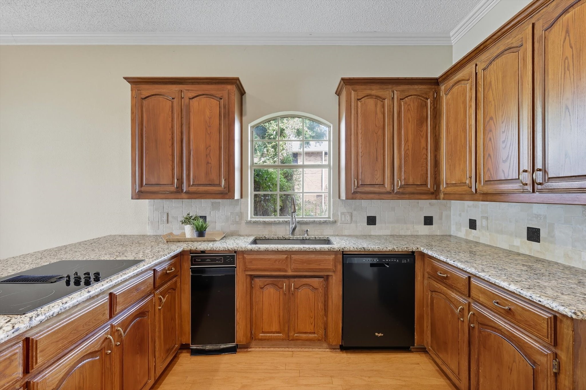 3904 Elmwood Court