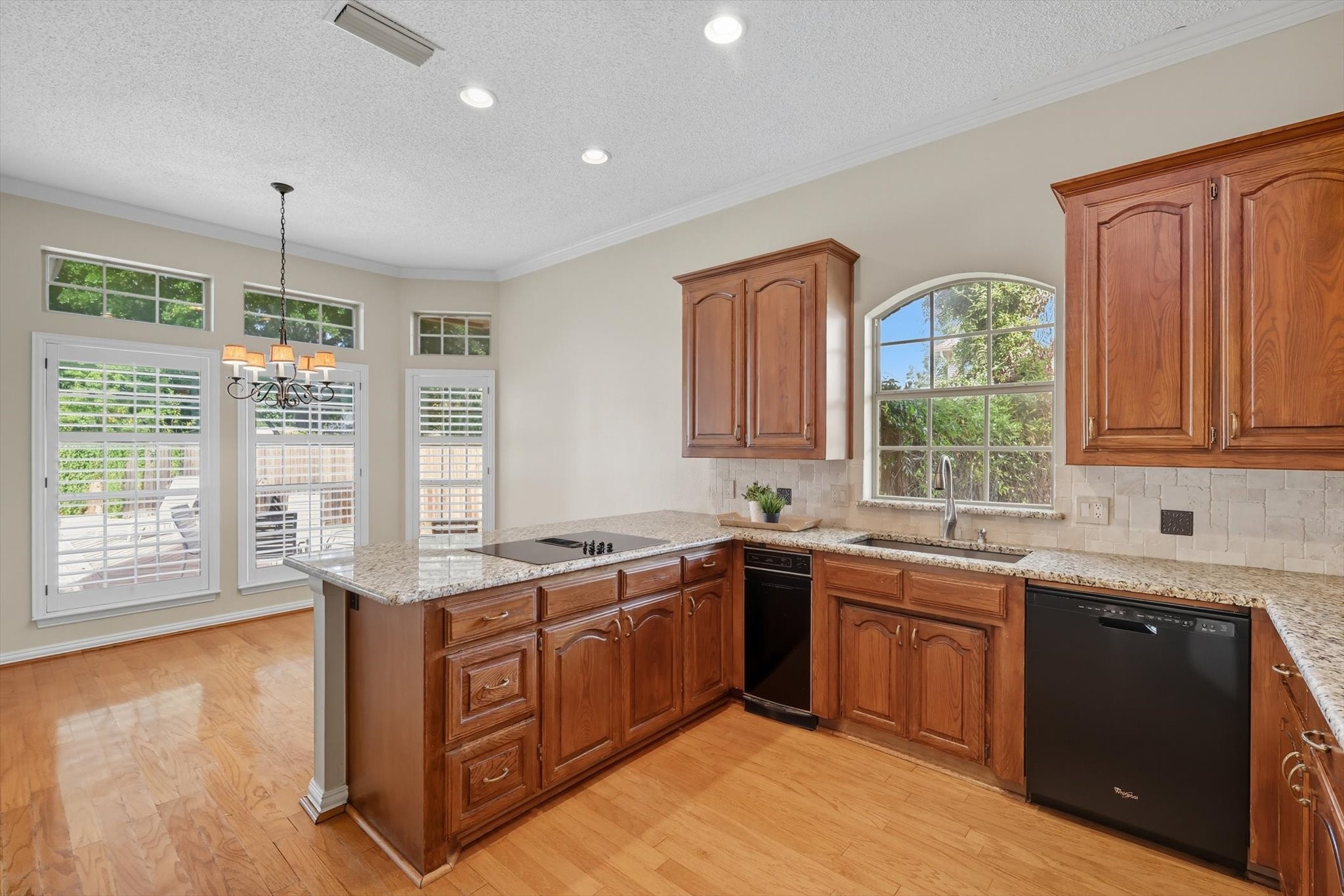 3904 Elmwood Court