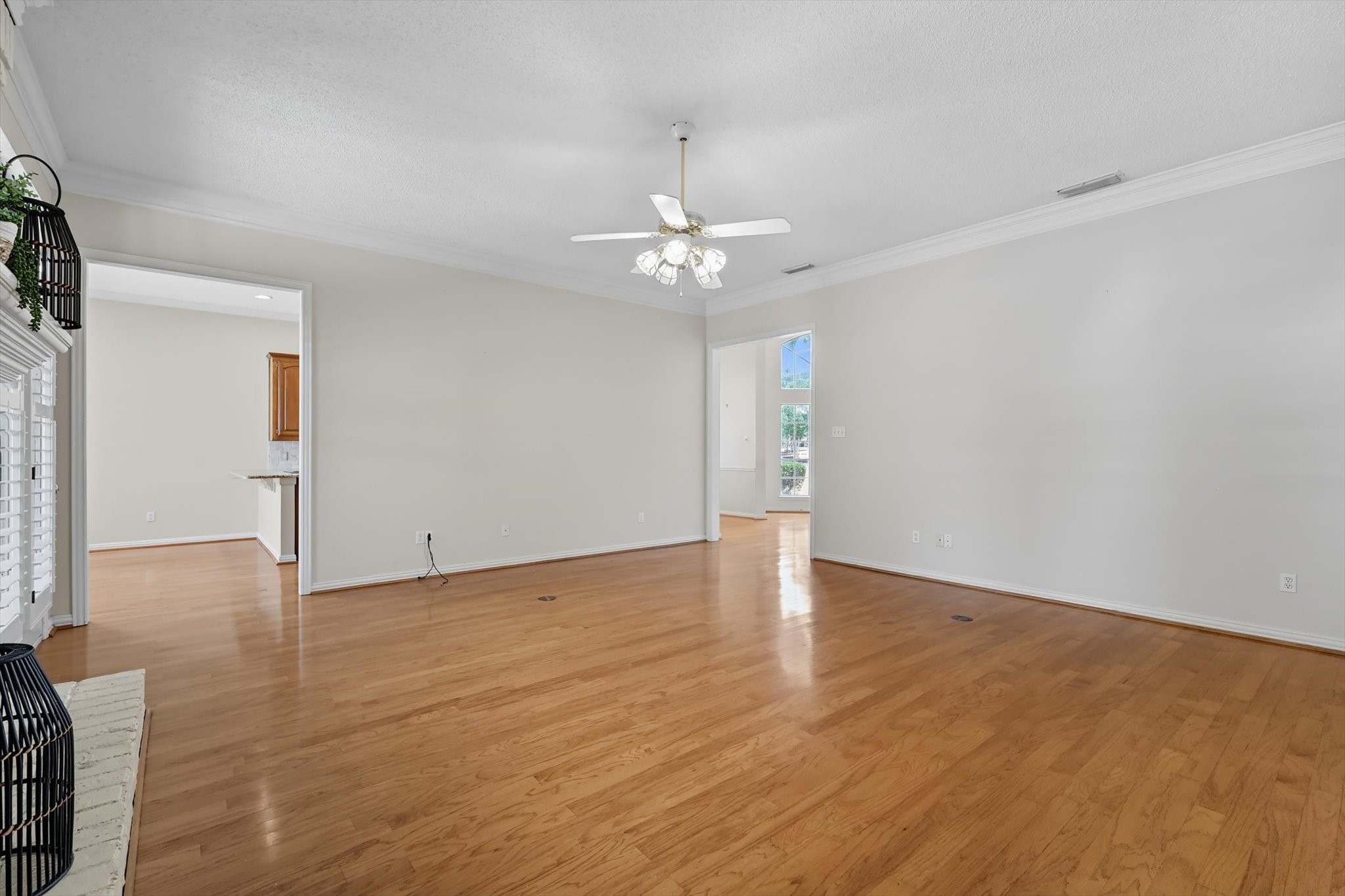 3904 Elmwood Court