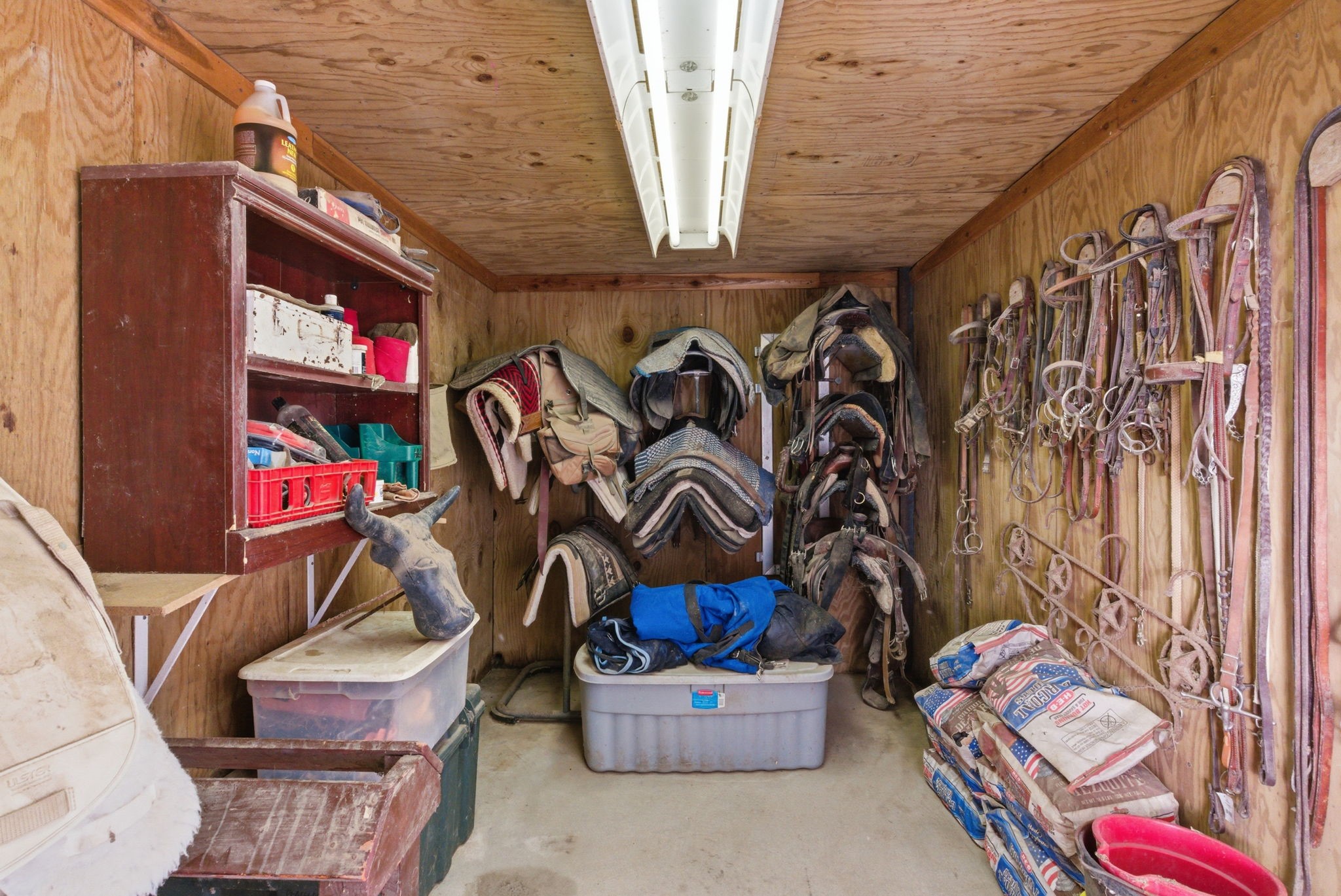 313 Buena Vista Drive