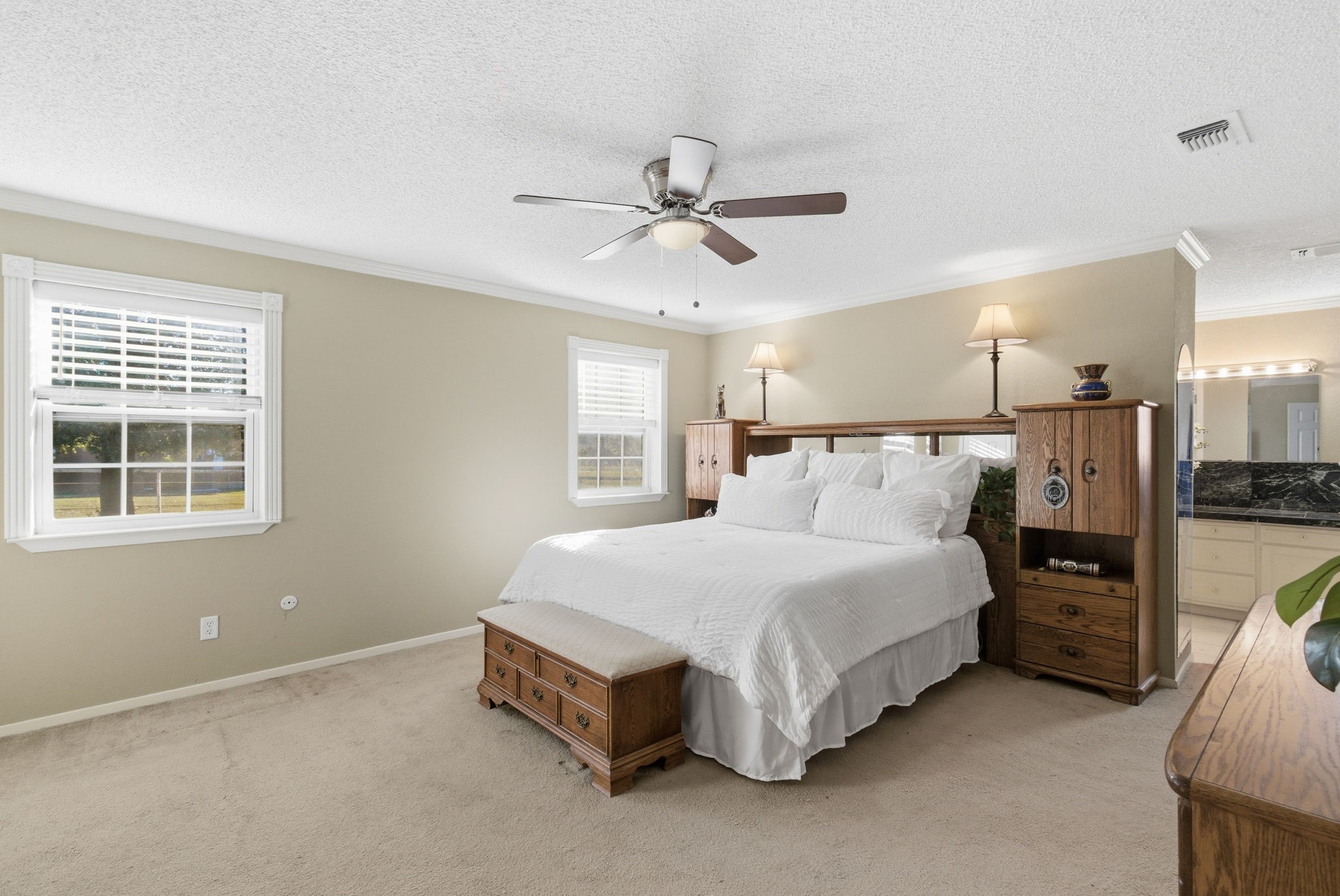 313 Buena Vista Drive