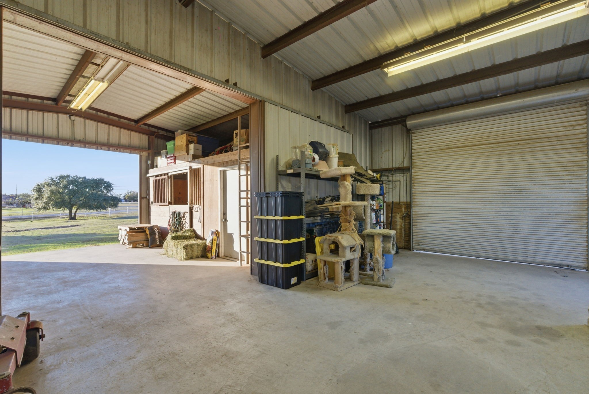 313 Buena Vista Drive