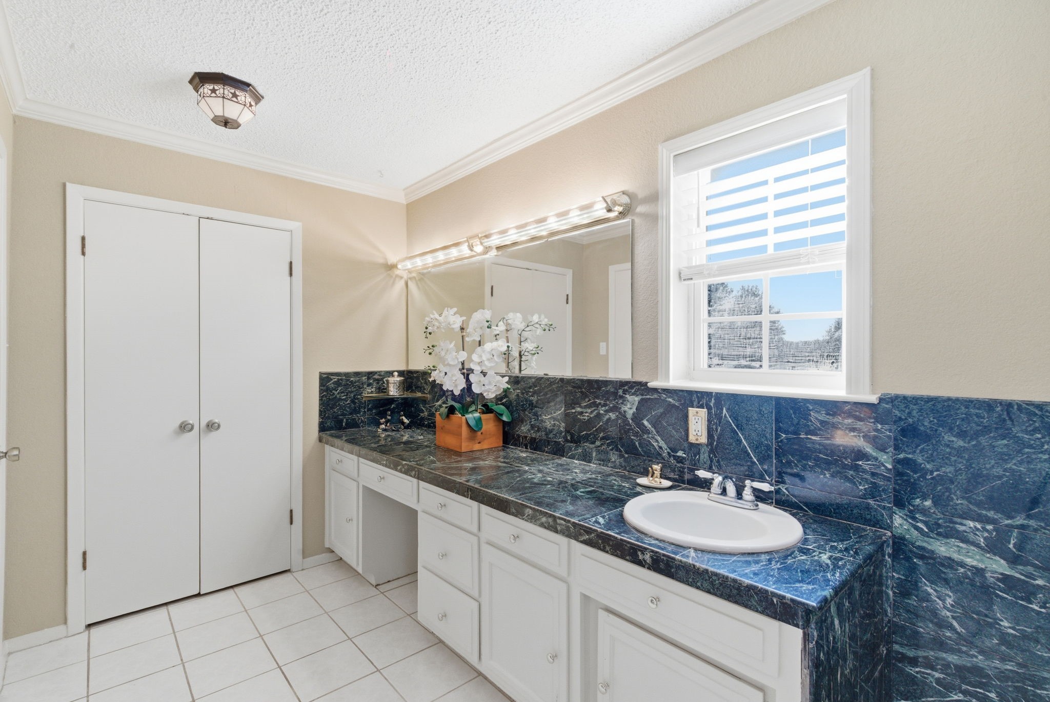 313 Buena Vista Drive