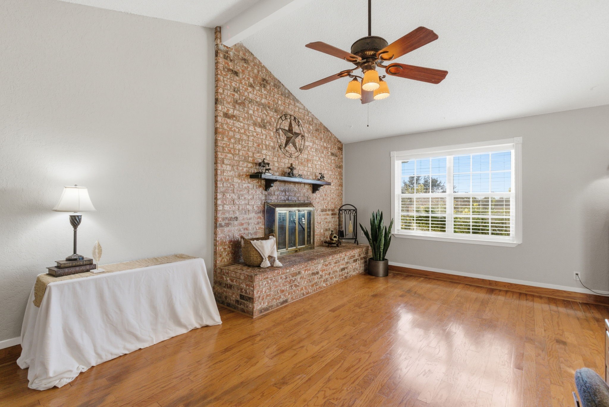 313 Buena Vista Drive