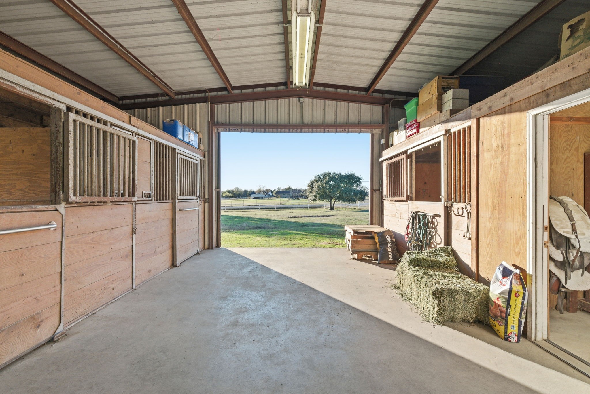 313 Buena Vista Drive